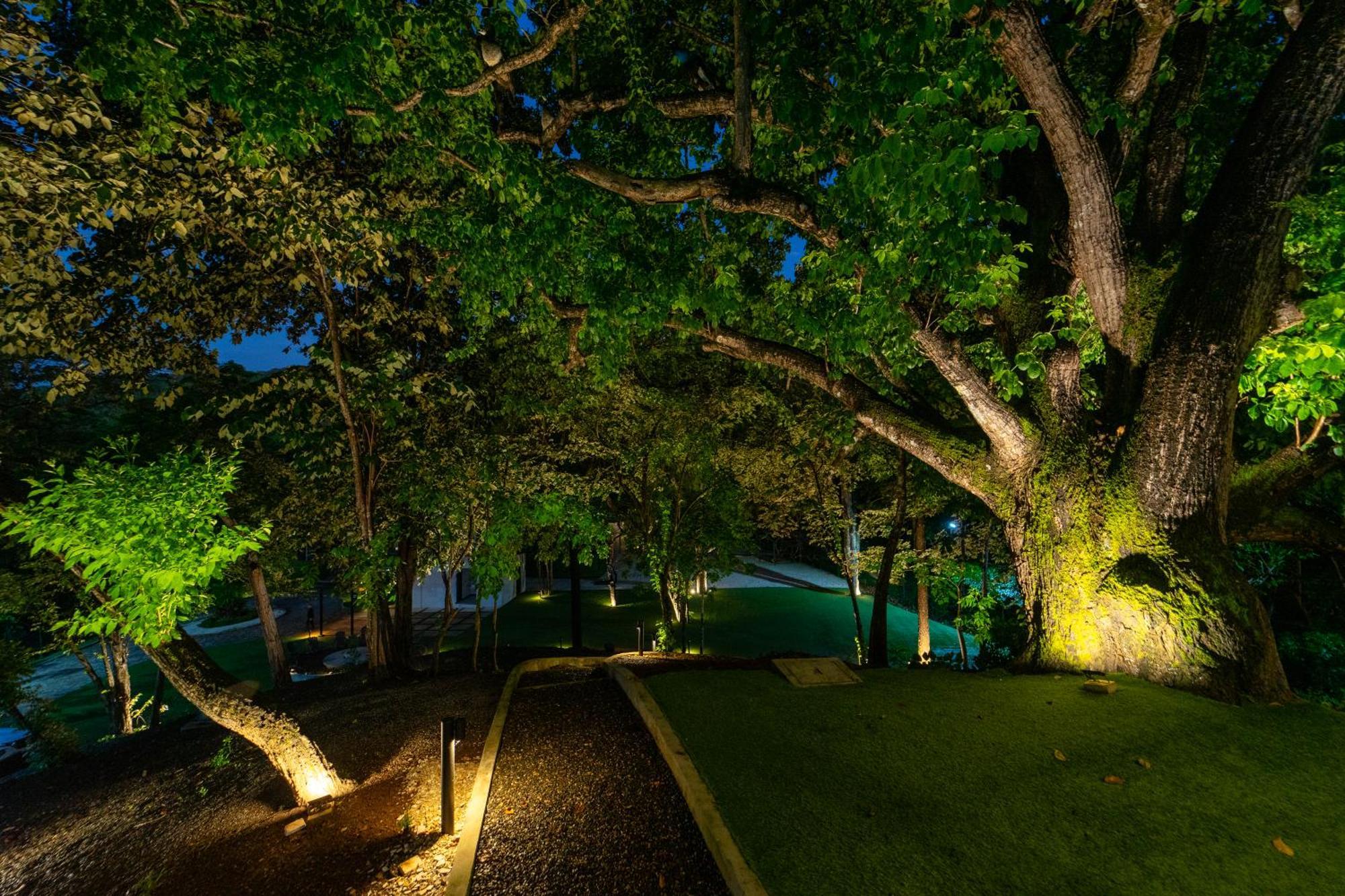 Epic Tamarindo Boutique Hotel Villarreal Zewnętrze zdjęcie