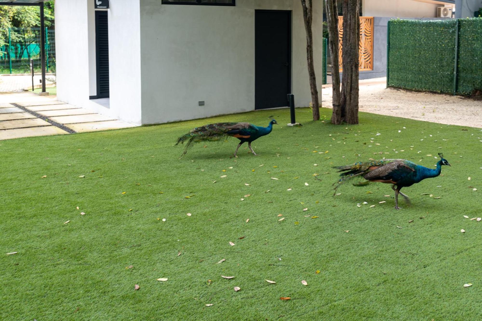 Epic Tamarindo Boutique Hotel Villarreal Zewnętrze zdjęcie